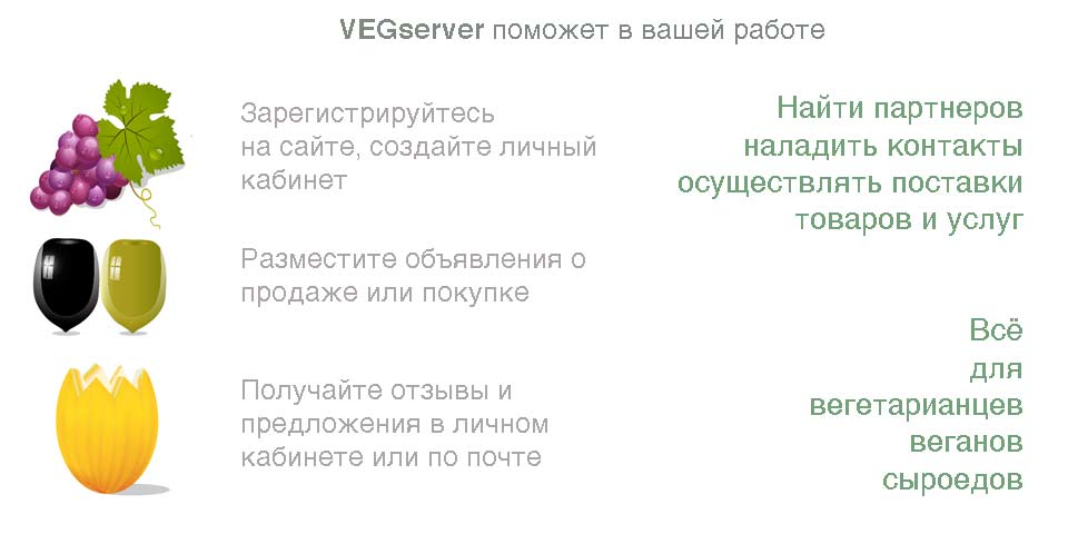 VSinstr.jpg VSinstr.jpg