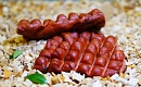 "Копчушка" постный продукт