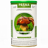 Суп Prana food сухой - Лесные Грибы