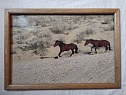 Фотокартина "Go ahead!" Kazakhstan