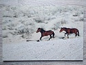 Фотокартина "Go ahead!" Kazakhstan