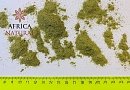 Порошок из травы Готу кола (Centella) Gotu kola powder Порошок из травы Готу кола (Centella) Gotu kola powder