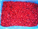 Клюква замороженная садовая крупная