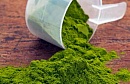 Hemp Protein, конопляный протеин