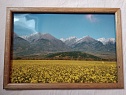 Фотокартина "Yellow flowers" Tunkinskaya Valley, Russia