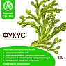 Фукус в капсулах 120 шт. Фукус в капсулах 120 шт.
