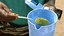 Порошок моринги (Листья Моринги, сушеные, измельченные в порошок) Organic Moringa oleifera leaves powder Порошок моринги (Листья Моринги, сушеные, измельченные в порошок) Organic Moringa oleifera leaves powder