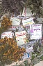 Пробники Травяных чаев Пробники Травяных чаев