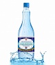 Живая Вода Алтая "Касмалинская" Живая Вода Алтая "Касмалинская"