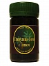 "Спирулина-Сочи с Гинкго" 90 табл.
