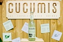 Cucumis Cucumber