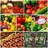 Овощи, фрукты, зелень Овощи, фрукты, зелень