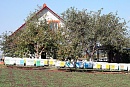 Пчеловод Василий Рудобелец - натуральный мёд с личной пасеки