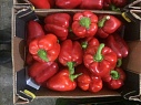 Перец болгарский красный
