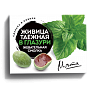 Жевательная резинка смолка - Живица таёжная в глазури Жевательная резинка смолка - Живица таёжная в глазури